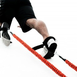 All Leg Speed Builder