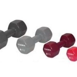 Vinyl Dumbbell Toorx- Per Stuk