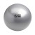 Swiss Ball - 150 kg, 55 cm met pomp