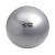 Swiss Ball - 150 kg, 65 cm met pomp