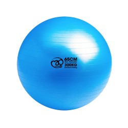 Swiss Ball - 300 kg, 65 cm