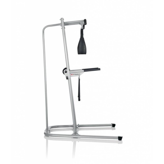 Bowflex BodyTower