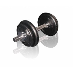 Toorx Dumbbellset 10 kg met Koffer