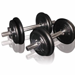 Toorx Dumbbellset 20 kg met Koffer