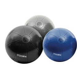 Toorx Gymbal PRO - 500 kg55 cm - Blauw