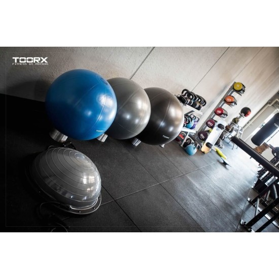 Toorx Gymbal PRO - 500 kg55 cm - Blauw