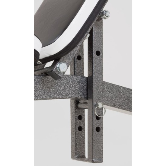 De WBX-90 is een professionele gewicht bank met leg extension en arm curl platform. Perfect voor beperkte ruimte en biedt diverse instelmogelijkheden.