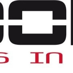 Toorx Anker Ring voor Battle Ropes