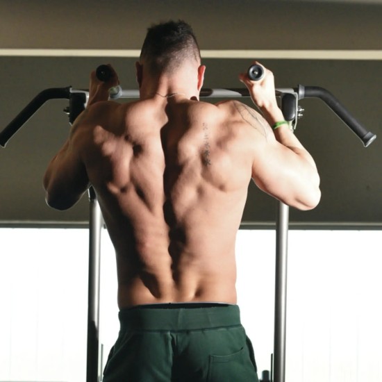 Toorx Professional WBX 2800 biedt veelzijdige krachttraining met een heavy-duty stalen frame en tot 150 kg gebruiksgewicht.