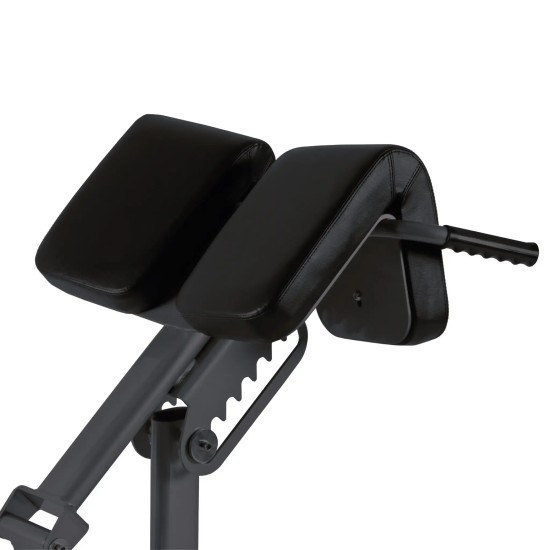 Verbeter je onderrug en core met de Toorx Professional WBX-B2600 Back Extension, ideaal voor commerciële fitness. Ondersteuning, verplaatsbaarheid en robuust ontwerp.