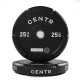 Verbeter je training met de Centr x HYROX Competition Edge Bumper Plate, voorzien van een interlock-systeem en duurzame CPU-coating voor optimale prestaties.