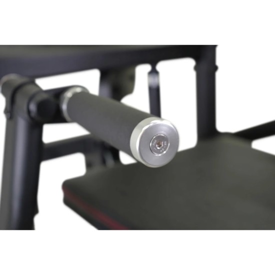 Multifunctioneel krachtstation voor pull-ups en dips, geschikt voor alle niveaus met een upgradebaar 45 kg gewichtsblok.