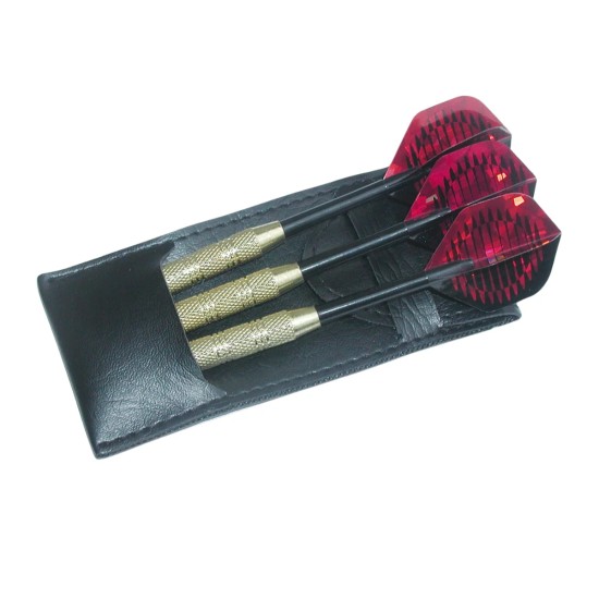 Op zoek naar dartpijlen? Deze Equinox Centaurus dartpijlen set van Garlando met handige draagtas en 18 gram is perfect voor onderweg.