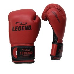 Bokshandschoenen Bordeaux powerfit Protect - Maat: 10oz